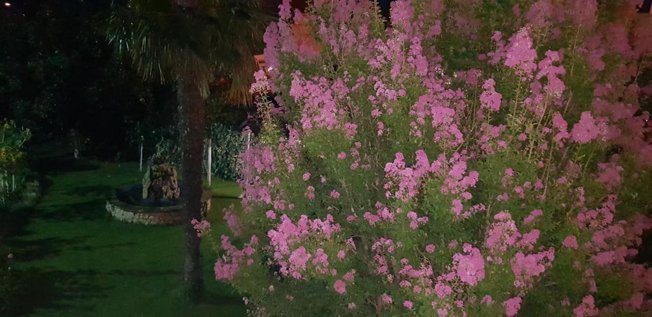 Rooms Rafomarija Međugorje エクステリア 写真